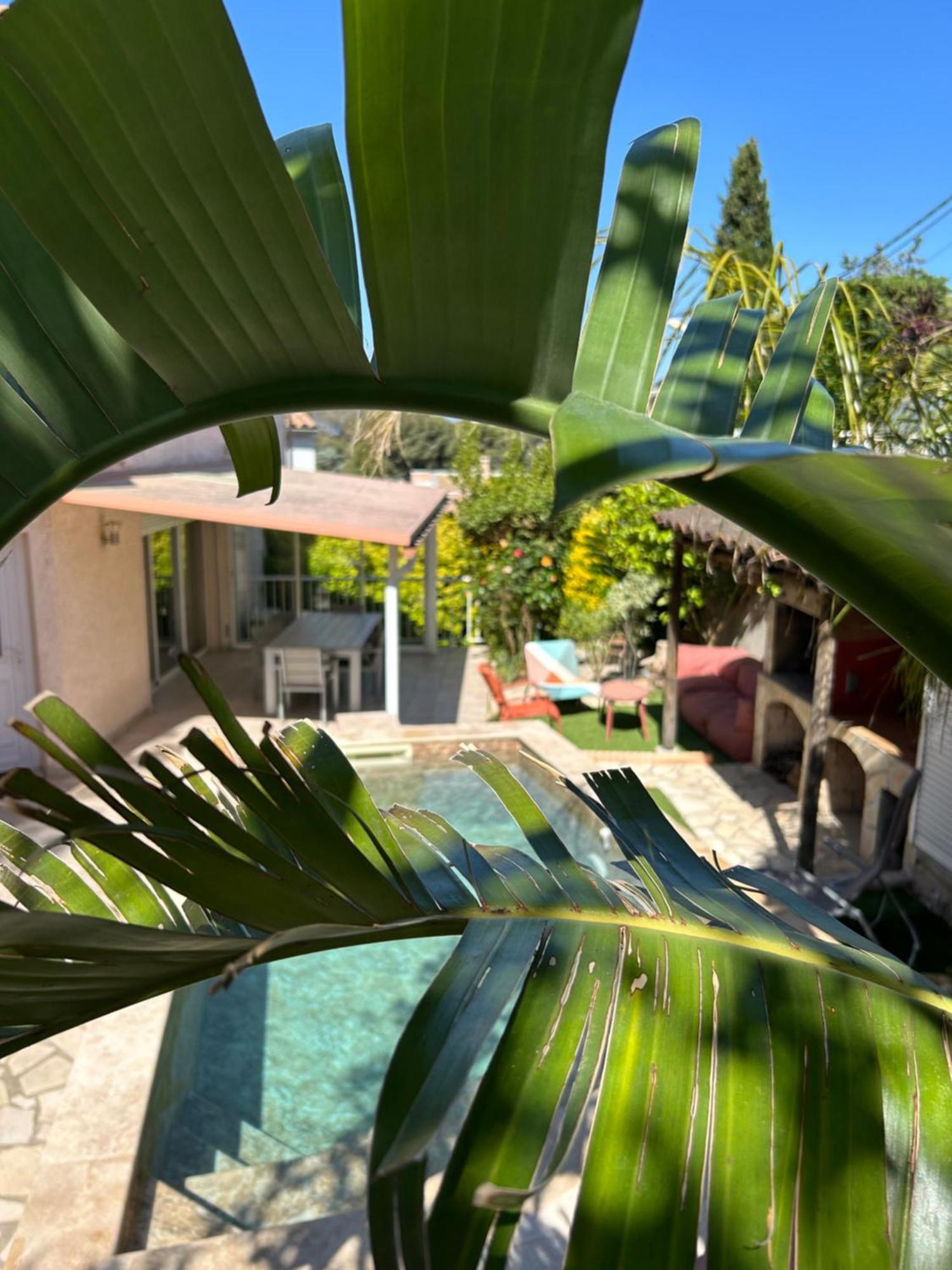 Villa L' Oliviera, Vue Mer Et Plages A Pieds Sète Extérieur photo